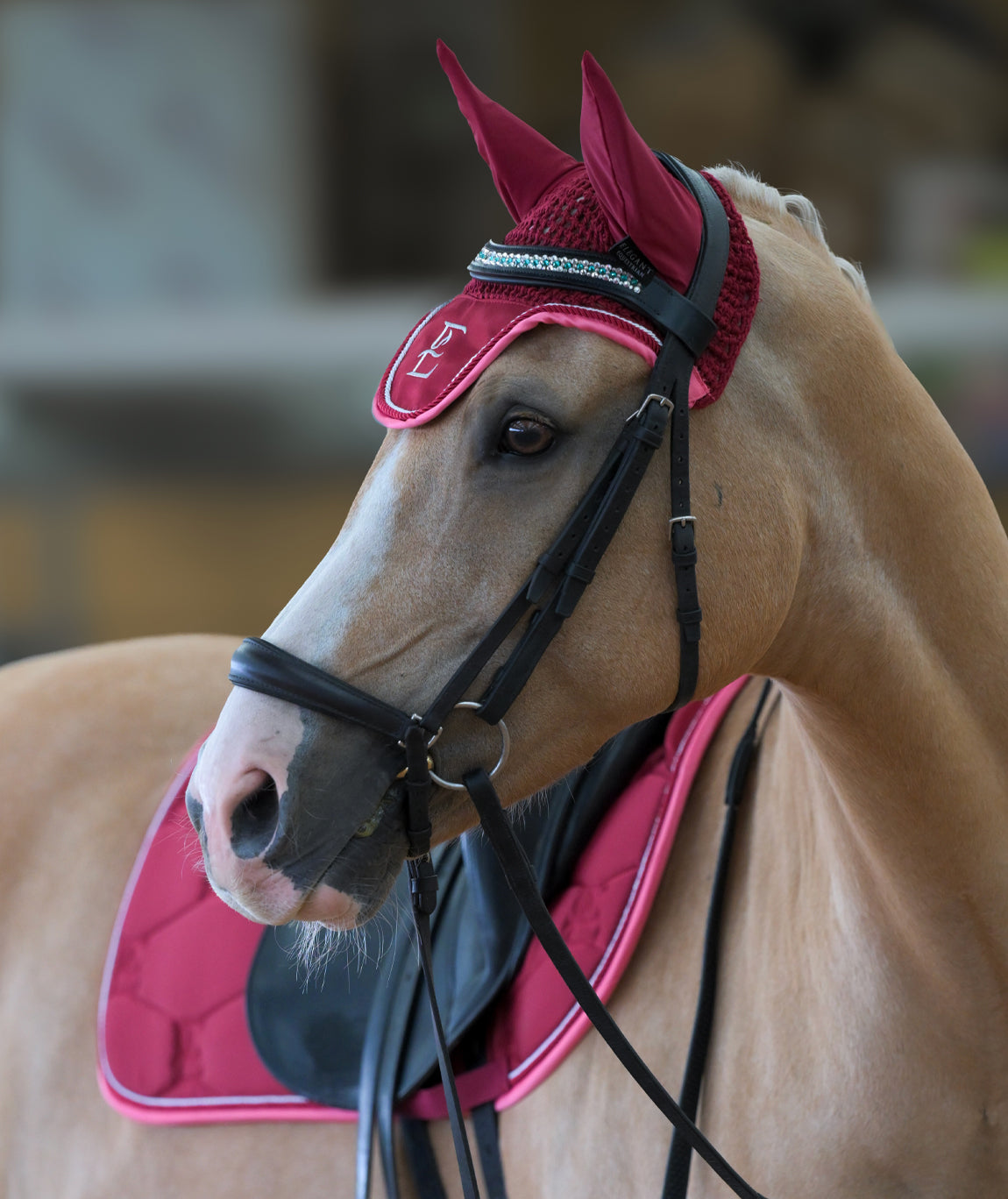 Bordeaux Blush