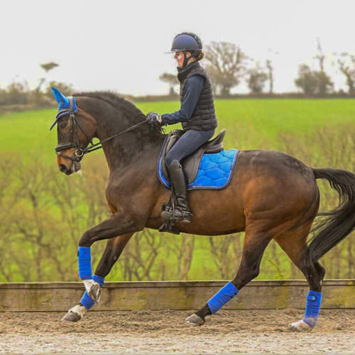 Elite Range Dressage Saddle Pad - Blue Horizon