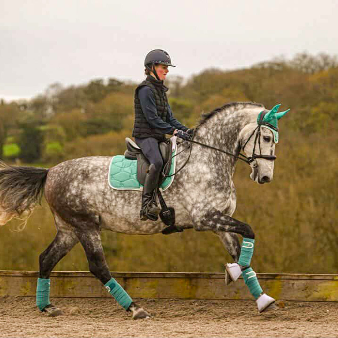 Elite Range Polo Bandages - Peacock Glow Green
