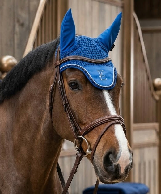 Horse wearing a blue fly veil with a logo in a stable setting