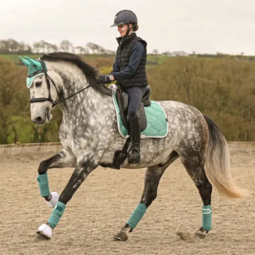 Elite Range Dressage Saddle Pad - Peacock Glow Green