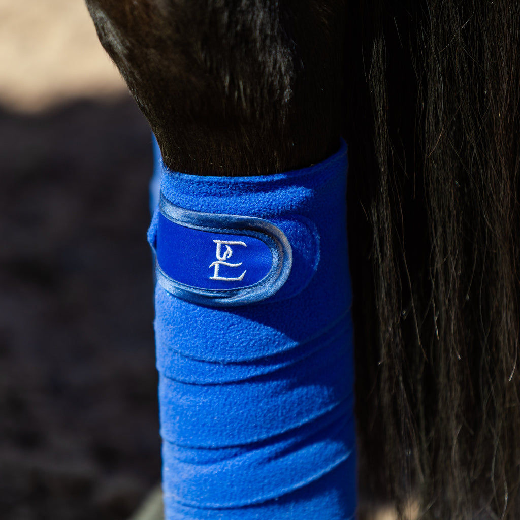 Blue bandage on a horse's leg with a logo, against a blurred natural background.
