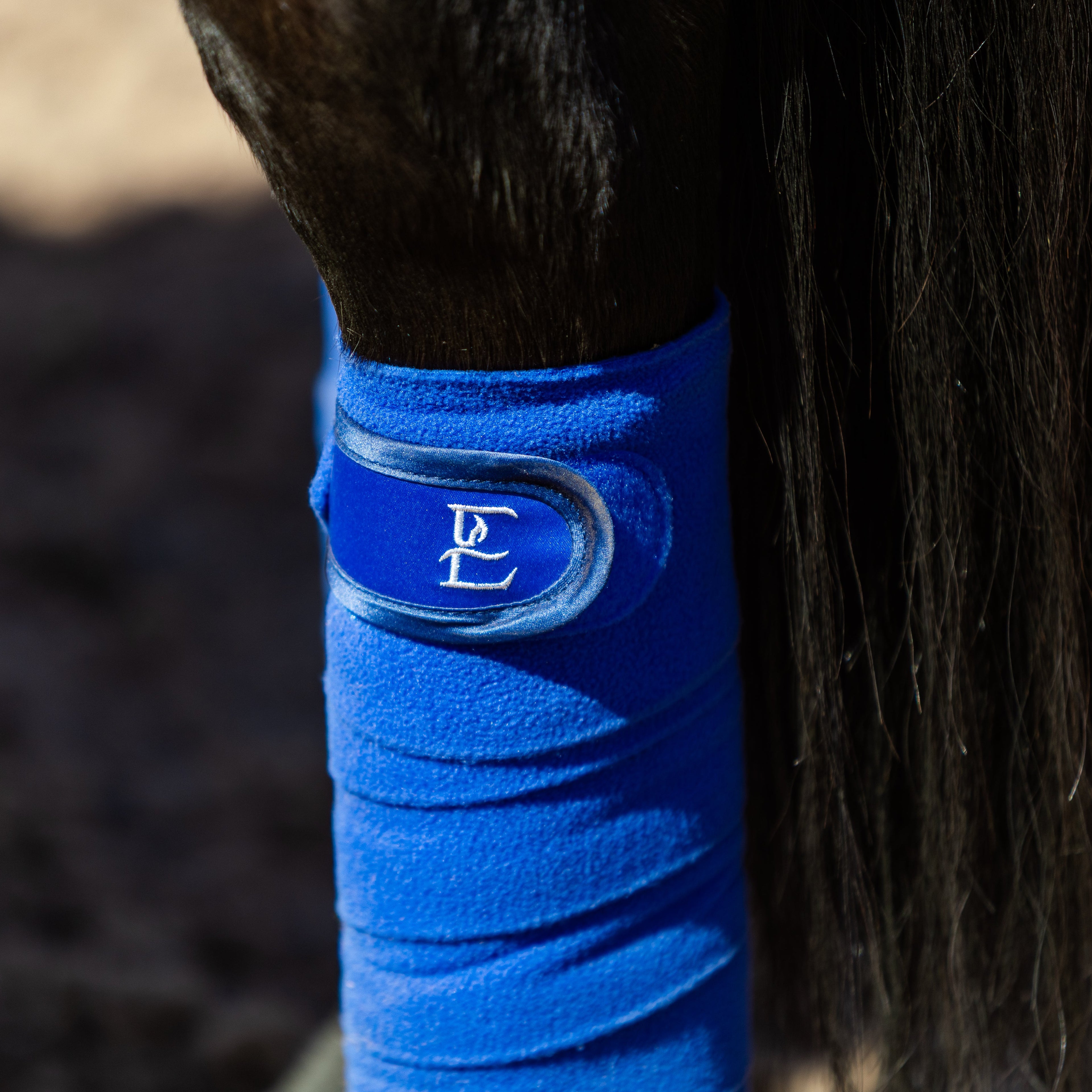 Blue bandage on a horse's leg with a logo, against a blurred natural background.